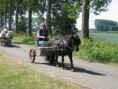 /album/menrit-04-06-2011/zeeuwse-menrit-juni-2011-011-jpg/
